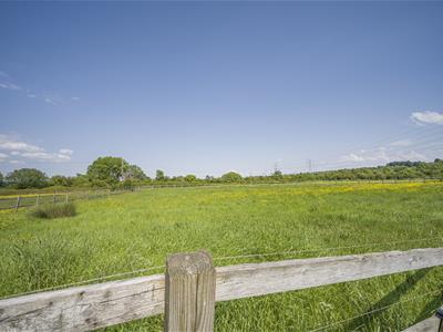 Picture 36